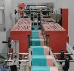 5000 kg Toilet Tissue Paper Roll Bundling Packing Machine for Customer