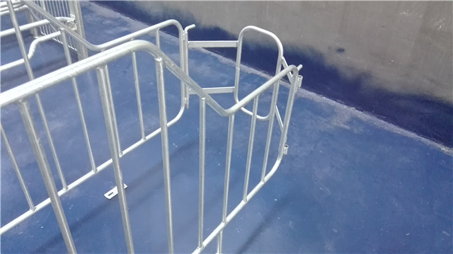 High Strength Steel Sow Gestation Crates / Indoor Guinea Pig Crate Anti Aging