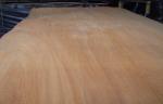Yellow Rotary Cut Okoume Veneer For Chipboard , 0.2 mm - 0.6 mm Thickness