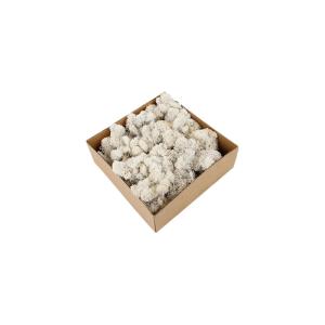 China Luxury Home Preserved Natural Moss For All Year Occasions Decoration wholesale