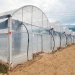 Rolling Bench Vegetable High Tunnel Greenhouse Steel Frame Hydroponics Large