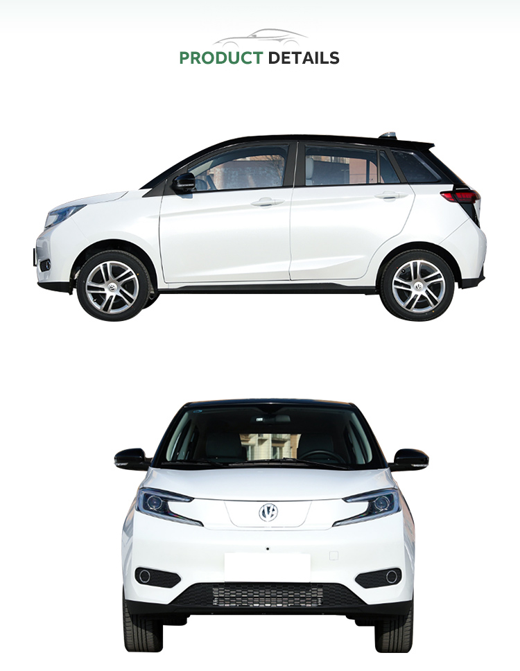 EVH Car Energy Vehicle EV HOUSE YOUNG LIGHT XIAOXIN Pure Electric Big Sale WHEELBASE 2415