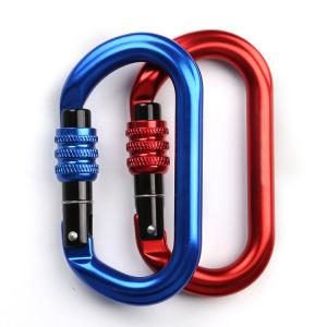 China Camping Hiking Outdoor D Type Carabiner Hook With Screw wholesale