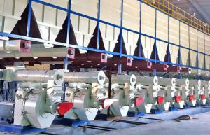 China Wood Pellet Production Line Walking Floor wholesale