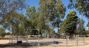 China Factory Price 19M Horse Round Yard Livestock Panel Horse Stable Panels Round Pens wholesale