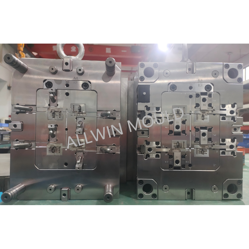 Auto Plastic Clip Mold