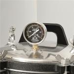 Portable Pressure Steam Sterilizer Autoclave Machine For Hospital Electric Or