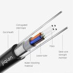 2 4 6 8 16 24 Core Aerial Armoured Fiber Optic Cable Gyxtw Gyxtw53 Uni Tube