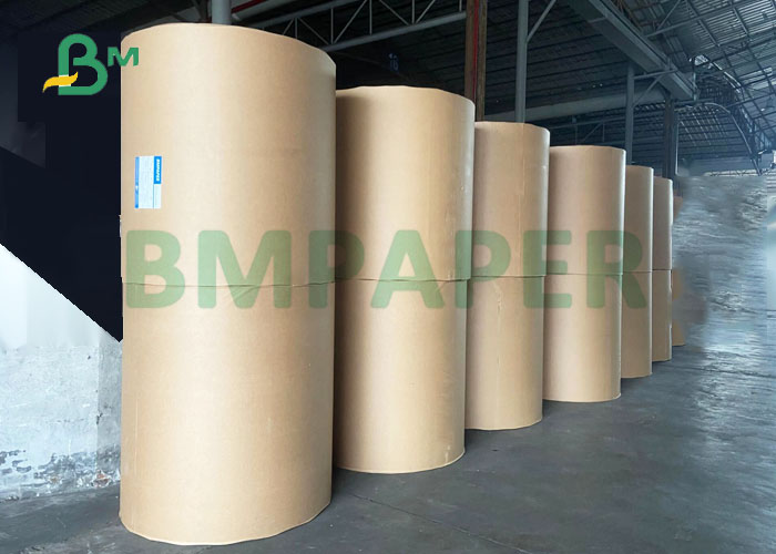 Coated Gloss 100# 120# Text Paper For Postcards Superior Image 72 x 95cm