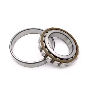 China Factory Price Single Row 95*145*24mm Cylindrical Roller Bearing NJ1019 wholesale