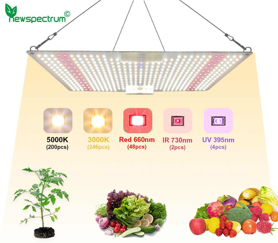 Full Power 100W Horticulture SMD Chip 3000K For Greenhouse Plants