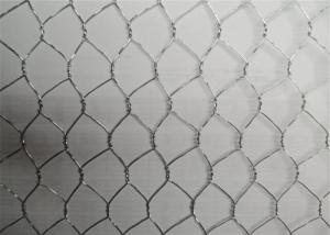 China Double Direction Twist Hexagonal Wire Mesh Rodent Proof For Animals Cage Fence wholesale