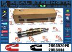 INJECTORS 2894920 2894920PX