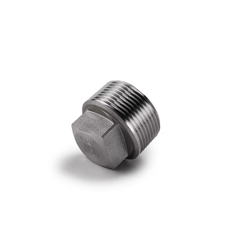Silver Coated WZ Stainless Steel 304 316 316L High Pressure Forged Square Plug NPT BSPT
