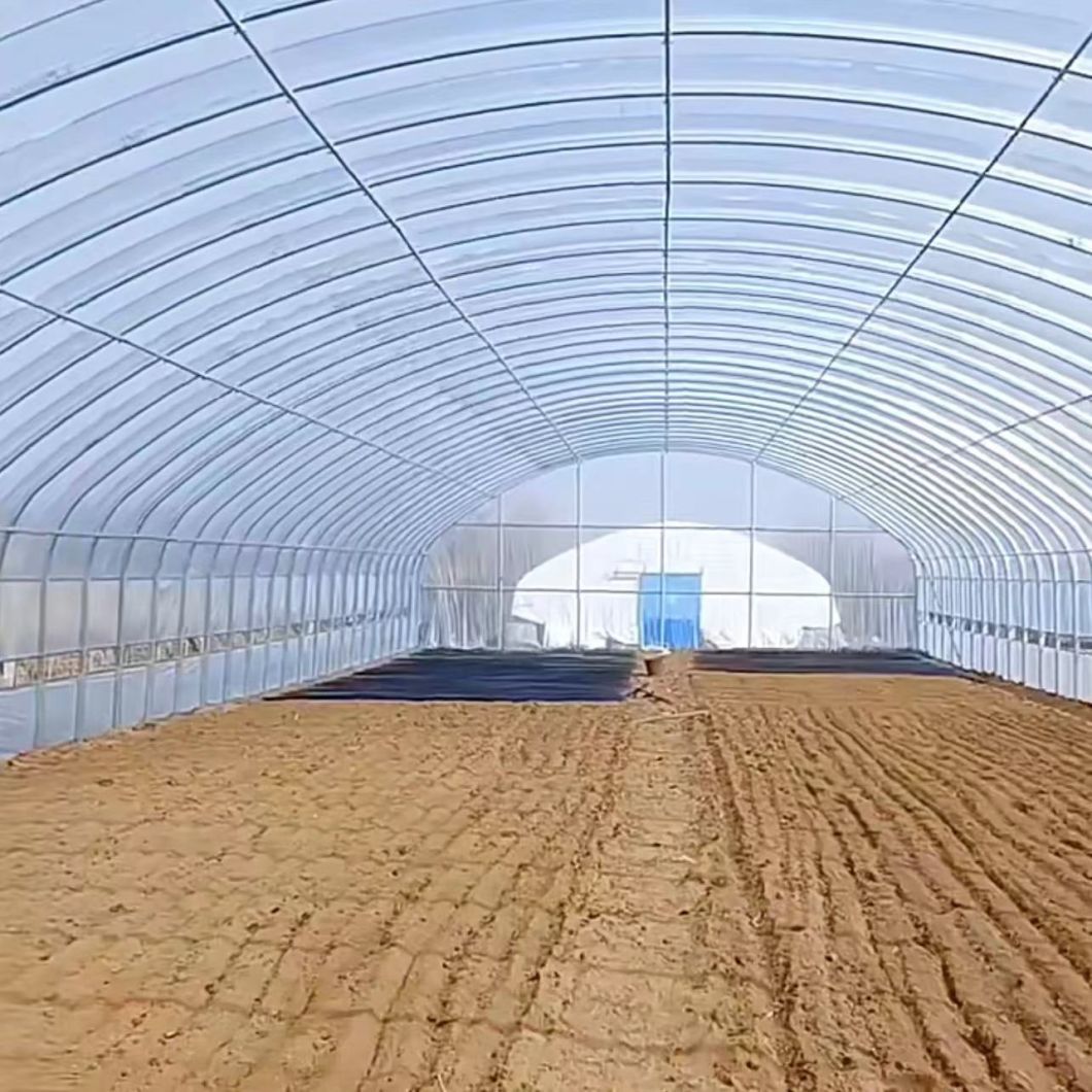 Singel Tunnel Film Green House for Flower Planting