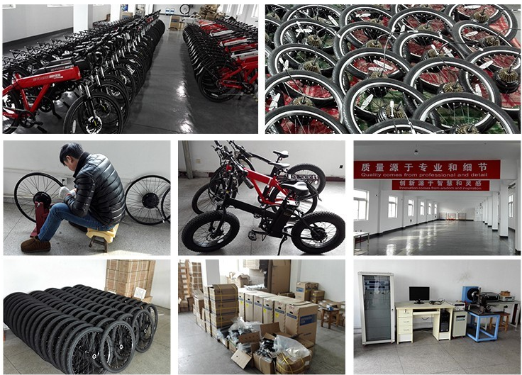 Front Fork Suspension Electric Assist Bicycles Rear Brushless Geared Motor