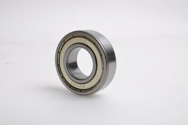 Professional Pump Motor Bearings Tolerance G10 Steel Balls With Steel / Plastic