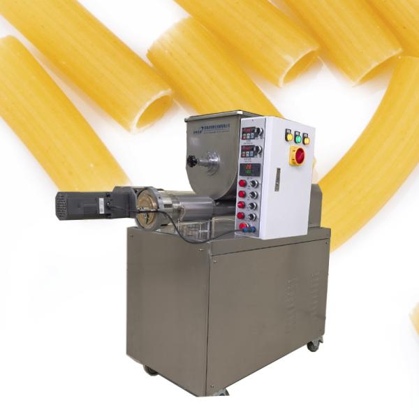 Delta Inverter Automatic Pasta Extruder Electric Pasta Maker Machine from OEM