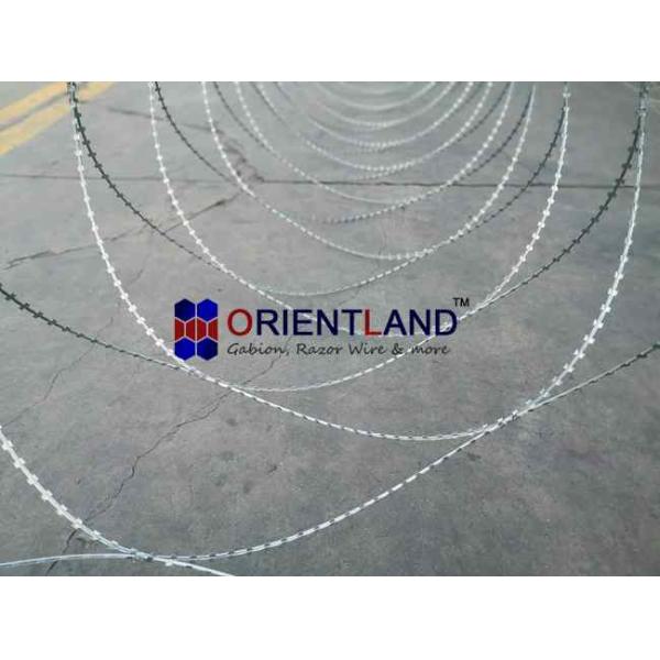 54-56 Loops Coiled Razor Barbed Wire With Steel Tape Sharp Edged Blades