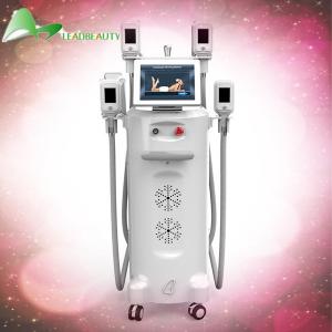 China China Supplier of cryolipolysis slimming machine 4 cryo handles fat reduction device wholesale