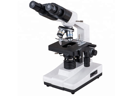WF10X 40X 1600X Student Biological Microscope School Lab Compound Binocular