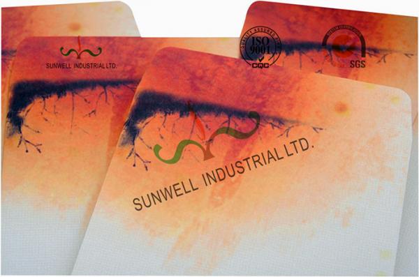 Quality Double Window Custom Packaging Envelopes Multi Colors Autumn Full Printing for sale