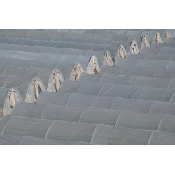 PP PE PA PVC Anti UV Antioxidant Masterbatch Sun Resistant ODM