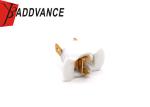 DZLS-2-36 2 Pin Side Light Lamp Housing Holder Socket Connector For Car
