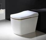 110V / 220V Electric Smart Toilet Smart Bidet Toilet Automatic Deodorization