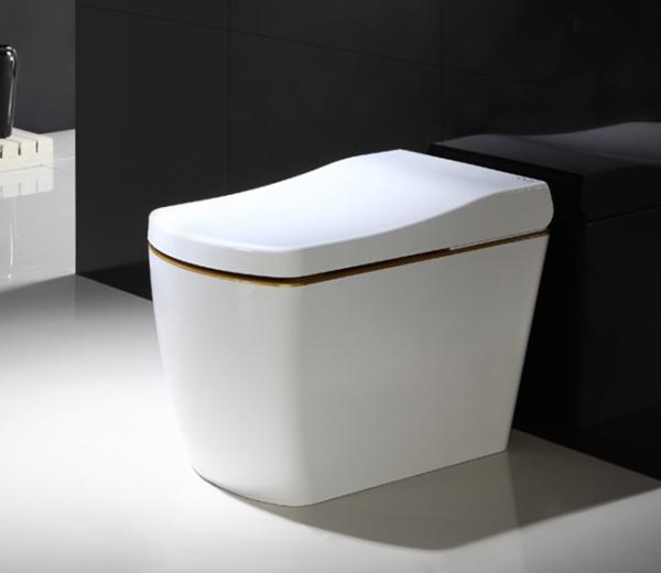 110V / 220V Electric Smart Toilet Smart Bidet Toilet Automatic Deodorization