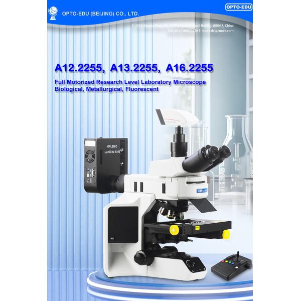 Opto Edu A12.2255 Laboratory Biological Microscope Fully Motorized BX53 CX43 Level