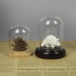 Customized Glass Homeware Dome Display Handblown Vintage Victorian Style