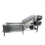 Multifunctional Ginger Washing Double Bubble Water Spinach Industrial Fruit