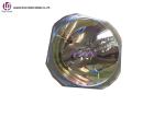 Professional Christie Projector Lamp 003-005160-01 DT01725 For DHD851 , DWU851 ,