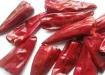 Organic Yidu Chili Red Pepper Beijinghong Jinta Chilli FDA HACCP KOSHER BRC