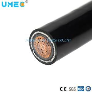 China Overhead Concentric Armored Copper Conductor PVC Insulated PVC Sheathed Power Cable wholesale