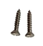 DIN7983 Flat Head Screw Self Tapping Screw Stainless Steel Material