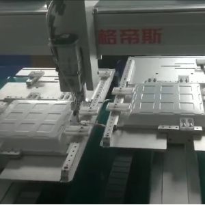 Double Station Automatic Screw Locking Machine 220V Automatic Screwdriver System