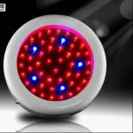 50w Environmentally Friendly 8:1 Ratio Of Red / Blue LED Plant Grow Lights