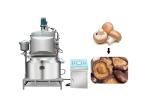 Thermal Oil 10.5kw 60kg/Time French Fries Frying Machine
