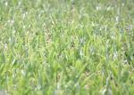 Anti-Fire Landscaping Green Artificial Grass Carpet 15mm - 60mm Height
