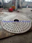 Vacuum Continuous Dryer Machine SUS304 Vegetable Drying Equipment