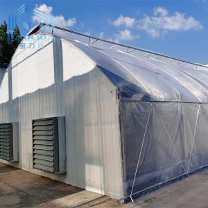 China Black White Tunnel Single Span Greenhouse 150 Micron Film Covered No Welding wholesale