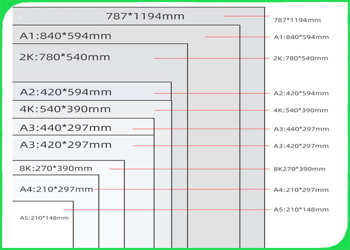 FSC certified Ink evenly and Exquisite color 300gsm FBB coated board in roll