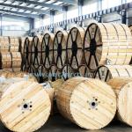 Third Party Inspection Accepted XLPE Insulated Armoured Cable for Underground