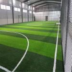Q355 H Section Commercial Steel Building Prefabricated Sports Building