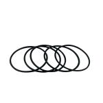 Black HNBR Low Temperature O Rings AS568 Standard Refrigeration Valve Sealing