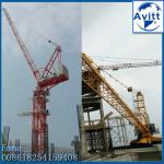 Popular D2520 Mini Luffing Boom Tower Crane For High Rise
