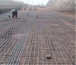 30kn/M Black Biaxial Plastic Geogrid for Honeycomb Driveway CE/ISO9001 Certified