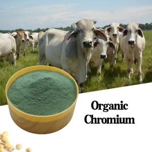China 25% Amino Acid Protein Chelate Chromium Animal Feed Additive For Improving Production wholesale